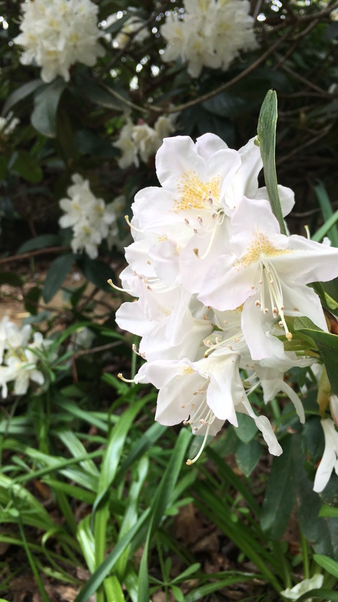 7F7A09BF-31CD-4A39-935E-E9CDB18F725F