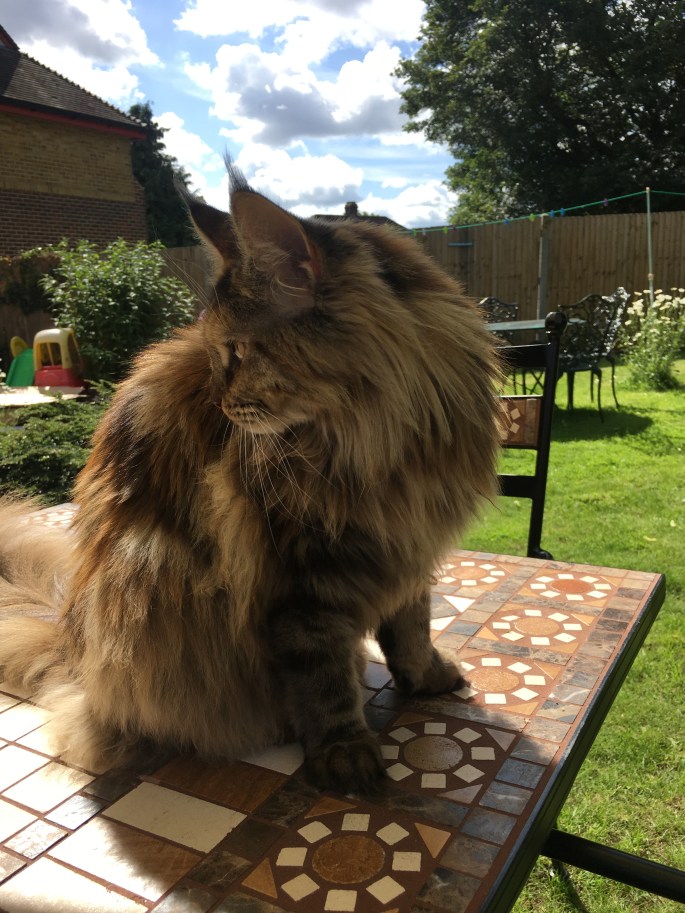 2017-06-04 09.49.18-1