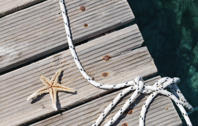 78B038A9-86DE-4456-B82F-9C1B1A2EE26B