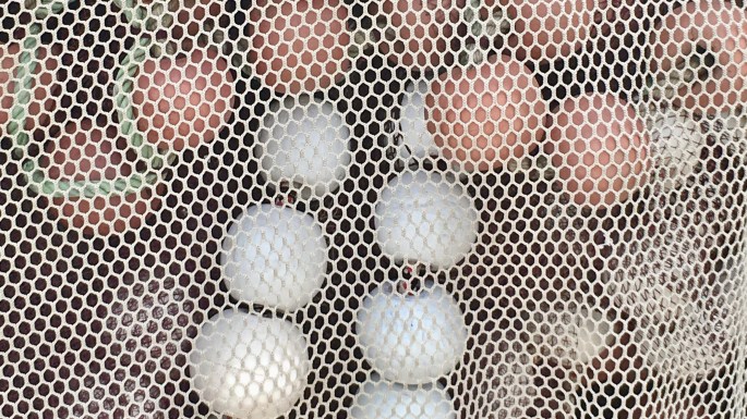 87997B2F-99B0-4E26-AFC9-7621764DA501